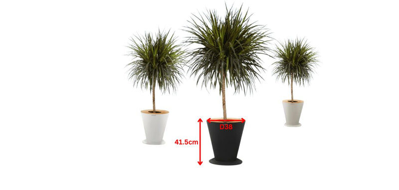 Icoo Planter Black