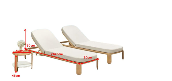 Pallisad Sun Lounger Set